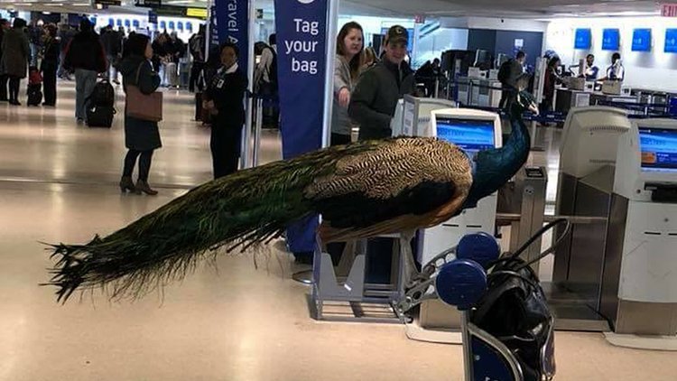 1541C580-B03F-47ED-92C7-30DF6E9DCB3C