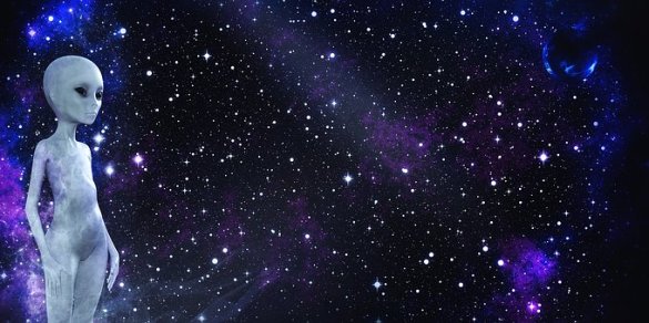 Time traveller independent contractor background check requirements