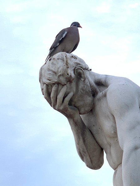 Pigeon head Tuileries - independent contractor misclassification Todd Lebowitz