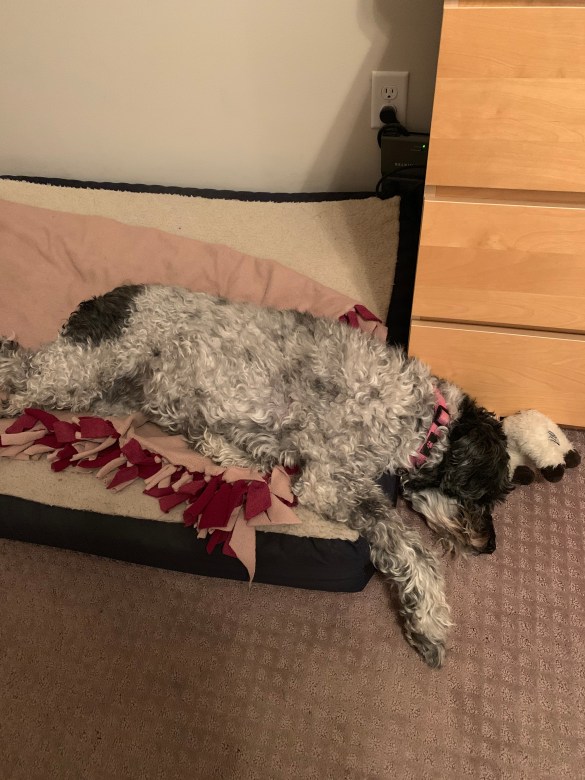 Joint employment contract clause