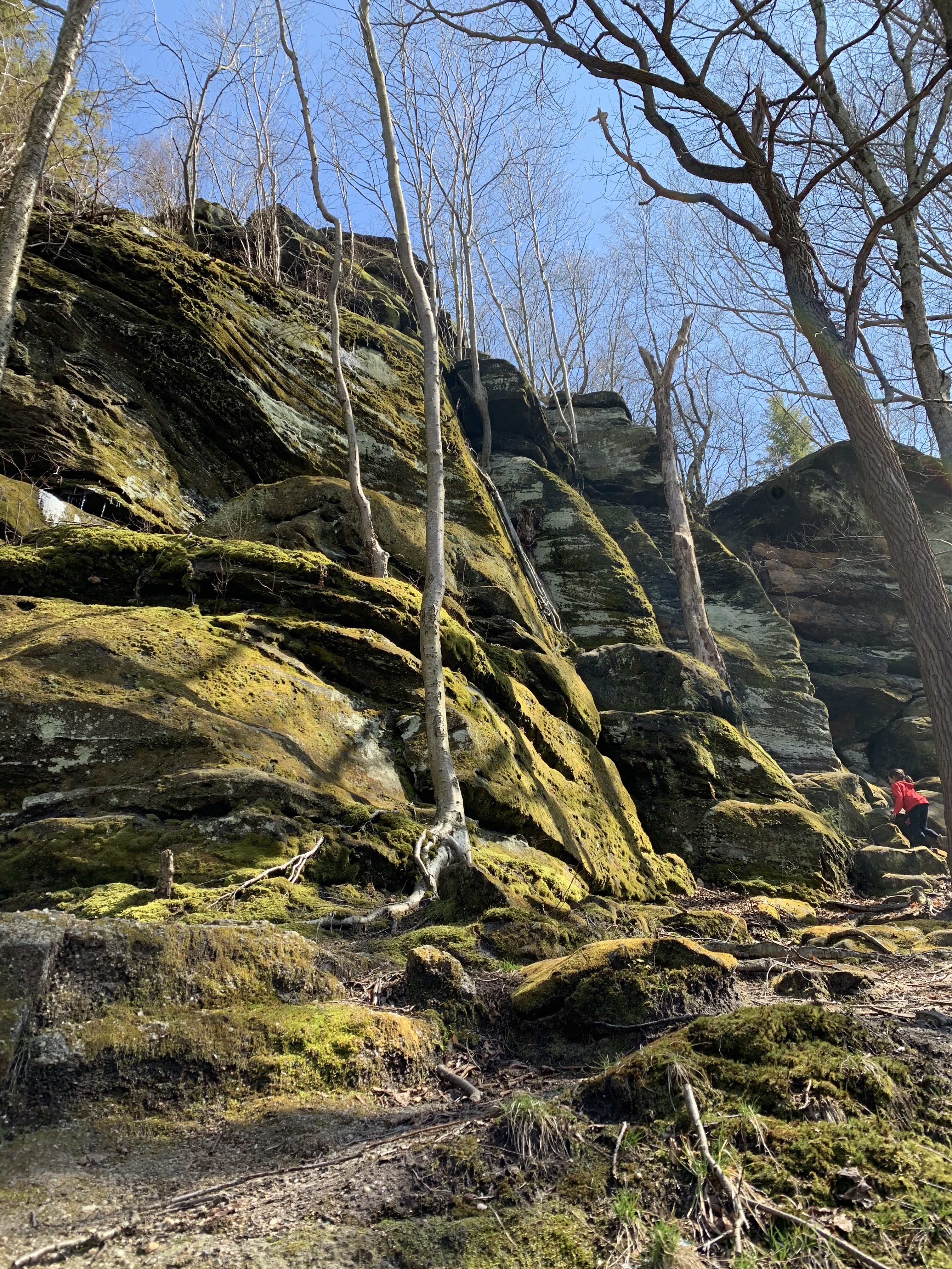 61C63C40-A3B8-41A8-A458-1545EB3168E8